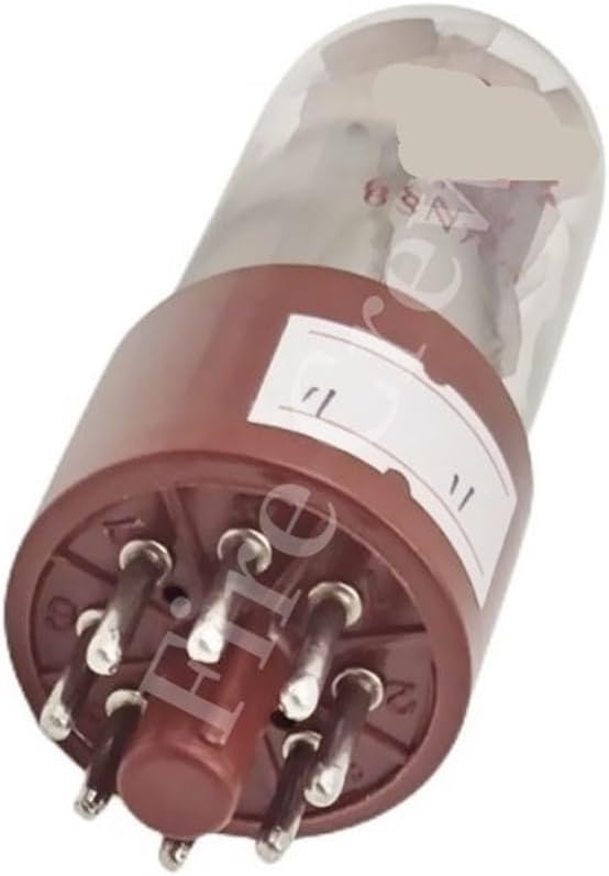 シマトネリコ 大株 品番3421